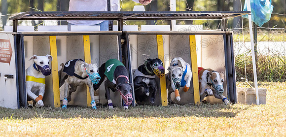 Program 2 Race 9 Remus Bacon Bandit Sneakers Kali Phantom-8454