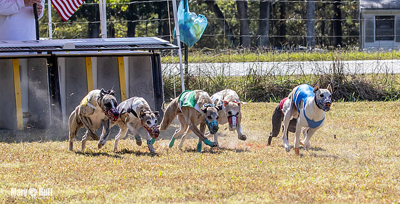 Program 2 Race 4 Sid Sherlock Raz Checkmate CaraCara Stripe-8273