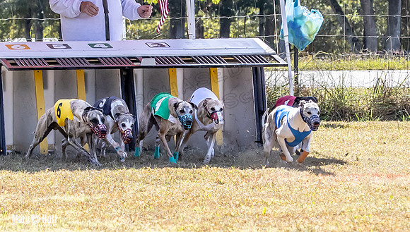 Program 2 Race 4 Sid Sherlock Raz Checkmate CaraCara Stripe-8267