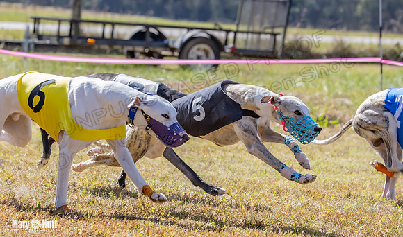 Program 2 Race 9 Remus Bacon Bandit Sneakers Kali Phantom-8483
