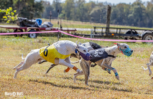 Program 2 Race 9 Remus Bacon Bandit Sneakers Kali Phantom-8482