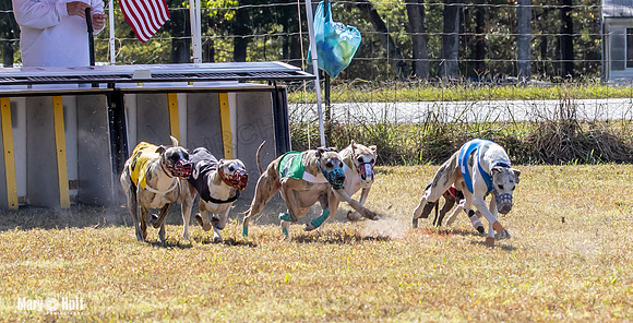 Program 2 Race 4 Sid Sherlock Raz Checkmate CaraCara Stripe-8272