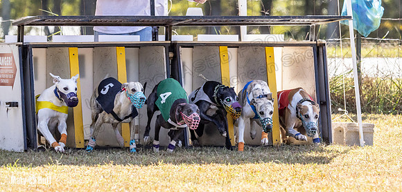Program 2 Race 9 Remus Bacon Bandit Sneakers Kali Phantom-8455