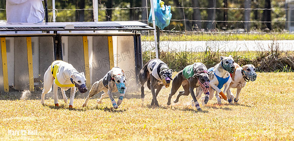 Program 2 Race 9 Remus Bacon Bandit Sneakers Kali Phantom-8464