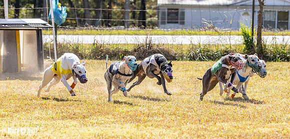 Program 2 Race 9 Remus Bacon Bandit Sneakers Kali Phantom-8470
