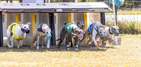 Program 2 Race 9 Remus Bacon Bandit Sneakers Kali Phantom-8458