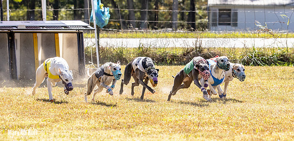 Program 2 Race 9 Remus Bacon Bandit Sneakers Kali Phantom-8467
