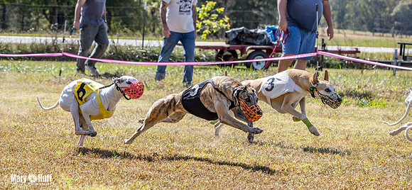Program 2 Race 8 Ella Tissy Player Emma RileyC Mimic-8442