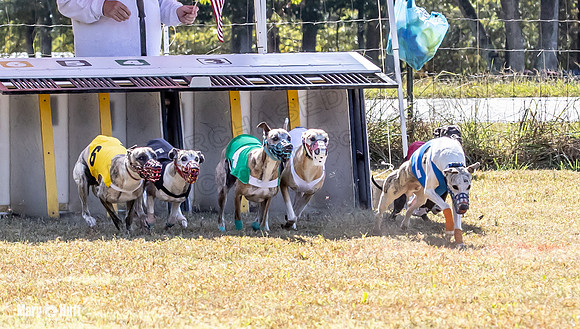 Program 2 Race 4 Sid Sherlock Raz Checkmate CaraCara Stripe-8268