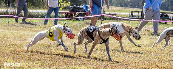 Program 2 Race 8 Ella Tissy Player Emma RileyC Mimic-8443