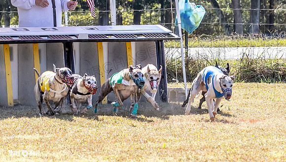 Program 2 Race 4 Sid Sherlock Raz Checkmate CaraCara Stripe-8269
