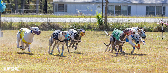 Program 2 Race 9 Remus Bacon Bandit Sneakers Kali Phantom-8472