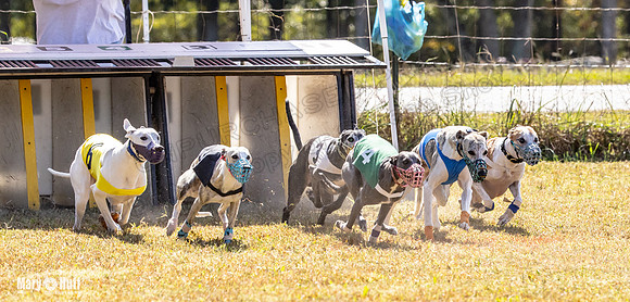 Program 2 Race 9 Remus Bacon Bandit Sneakers Kali Phantom-8462