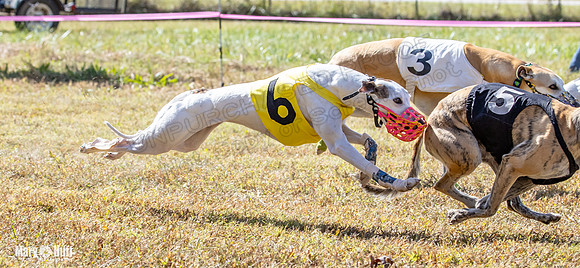 Program 2 Race 8 Ella Tissy Player Emma RileyC Mimic-8447