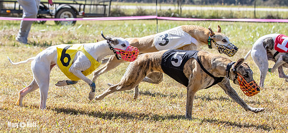 Program 2 Race 8 Ella Tissy Player Emma RileyC Mimic-8446