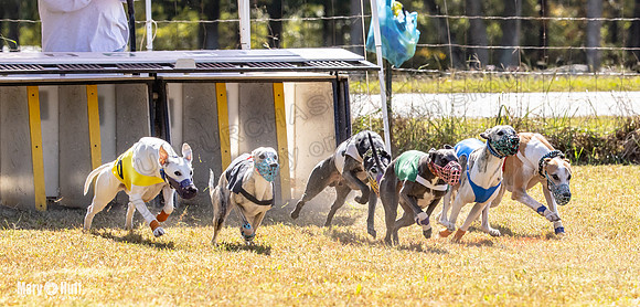 Program 2 Race 9 Remus Bacon Bandit Sneakers Kali Phantom-8463