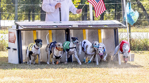 Program 2 Race 5 DArya Clara Swizzle Tusi-8308