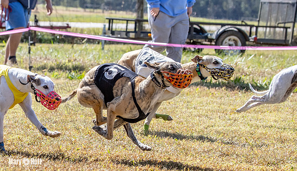 Program 2 Race 8 Ella Tissy Player Emma RileyC Mimic-8444