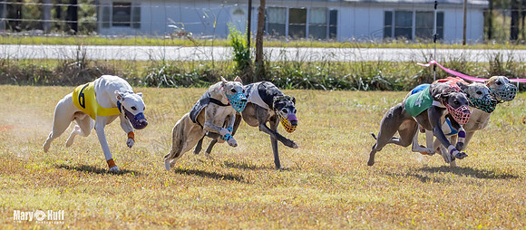 Program 2 Race 9 Remus Bacon Bandit Sneakers Kali Phantom-8474