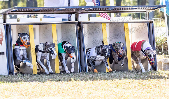 Program 2 Race 7 Dancie Bender Bexley Chuck RileyS Bogie-8379