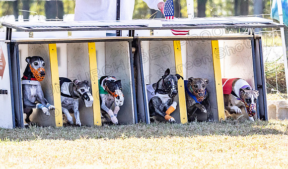 Program 2 Race 7 Dancie Bender Bexley Chuck RileyS Bogie-8378