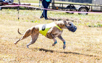 Program 2 Race 3 Zen Soarin Gambit Mizuno Summer Teak-8258