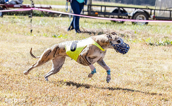 Program 2 Race 3 Zen Soarin Gambit Mizuno Summer Teak-8258