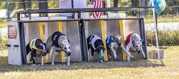 Program 2 Race 6 Bumble Piper Elsa Jefe Pedro Damsel-8343