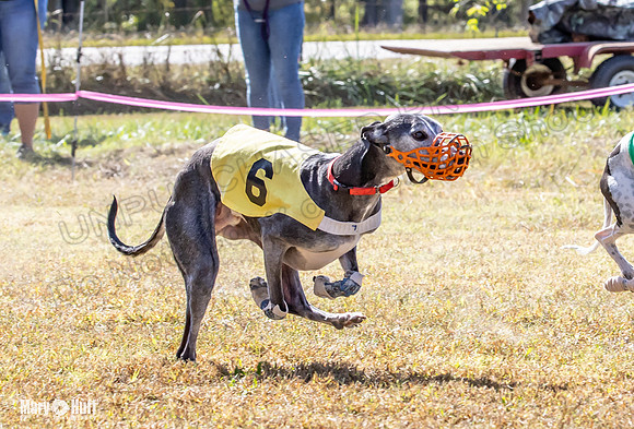 Program 2 Race 7 Dancie Bender Bexley Chuck RileyS Bogie-8408
