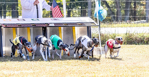 Program 2 Race 7 Dancie Bender Bexley Chuck RileyS Bogie-8385