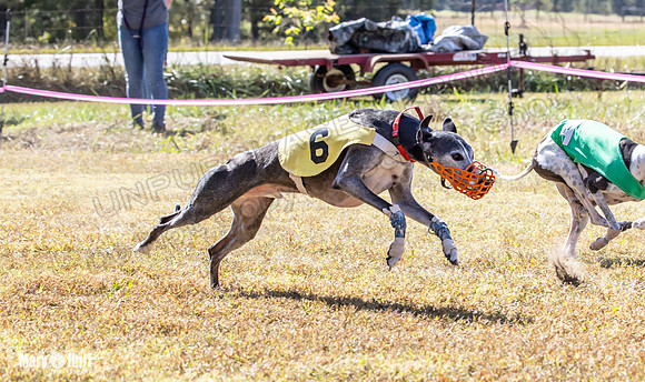 Program 2 Race 7 Dancie Bender Bexley Chuck RileyS Bogie-8409