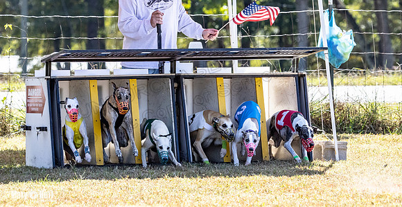 Program 2 Race 8 Ella Tissy Player Emma RileyC Mimic-8418