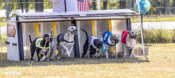 Program 2 Race 6 Bumble Piper Elsa Jefe Pedro Damsel-8345