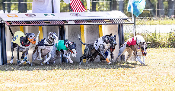 Program 2 Race 7 Dancie Bender Bexley Chuck RileyS Bogie-8383