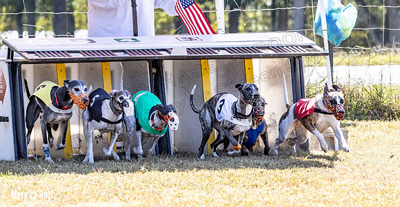 Program 2 Race 7 Dancie Bender Bexley Chuck RileyS Bogie-8382