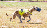 Program 2 Race 3 Zen Soarin Gambit Mizuno Summer Teak-8261