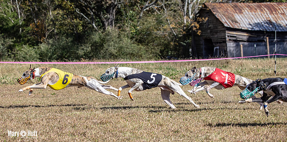Program 3 Race 4 Swizzle Elsa Clara Summer Sherlock Nitro-8777