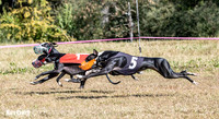 Program 3 Race 1 2 Puppy Race 1 2s-8736