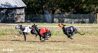 Program 3 Race 1 2 Puppy Race 1 2s-8726