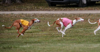1 Prelims Fch 1 Penny Jadis Willow-5759