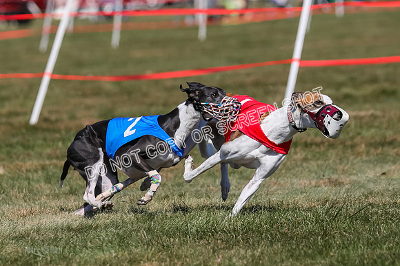 Prg 3, Race 9, Bibi Maybe Nami Rosie-2167