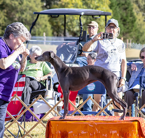 5C7A9408
