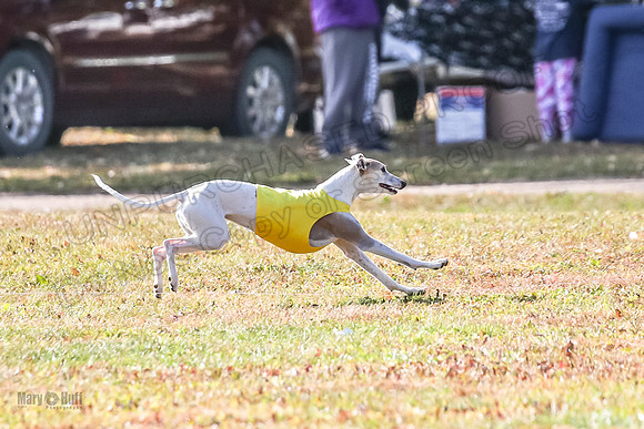Finals Fch 1 Celine Huxley-4001
