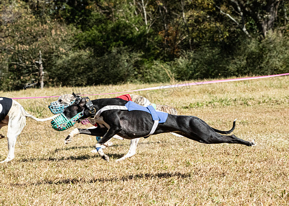CWA3201
