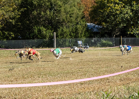 CWA3233