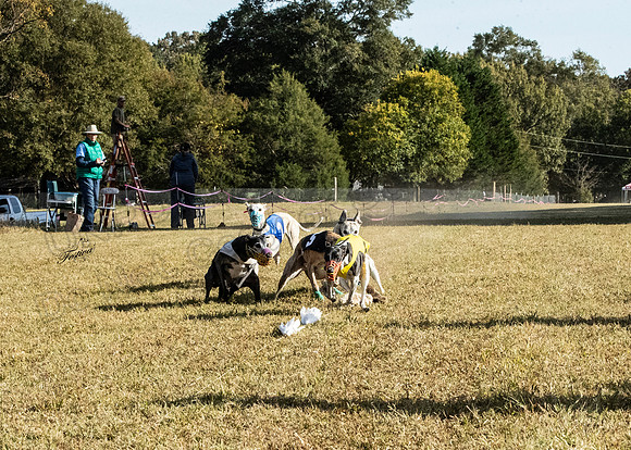 CWA3408