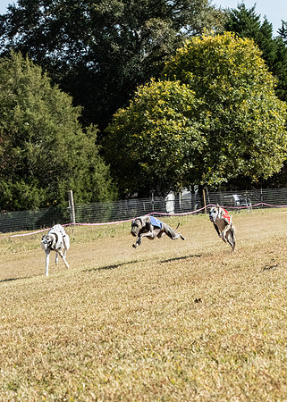 CWA3281