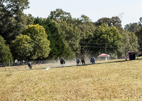 CWA3318