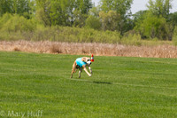 IMG_3128