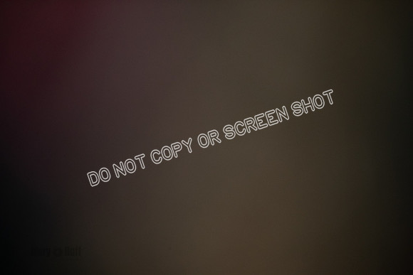_E4I1129